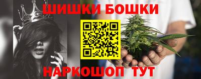 гашик Аргун