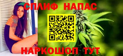 гашик Аргун