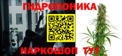 гашик Аргун