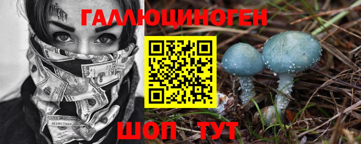 Галлюциногенные грибы прущие грибы  Вход с VPN  Всеволожск 