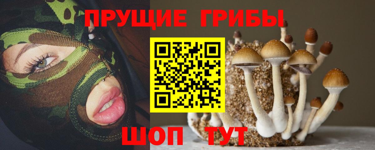 МЕФ кристаллы  ГАШ  Конопля  ЭКСТАЗИ  Всеволожск  Вход с VPN 